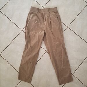 Everlane Tencel Tan Pleated Tailored Straight Leg Trouser 2